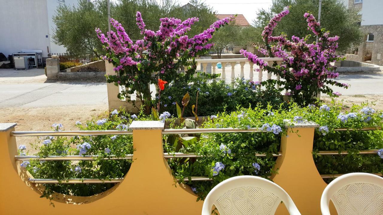 Marina Apartment Biograd Na Moru Exterior photo